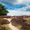Soester Wandelweekend