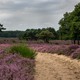 Wandelroutes