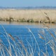 Loosdrechtse plassen