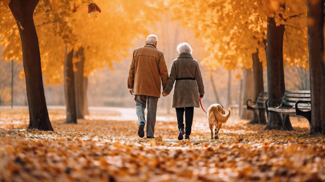 Senior package Hotel Hilversum - De Witte Bergen