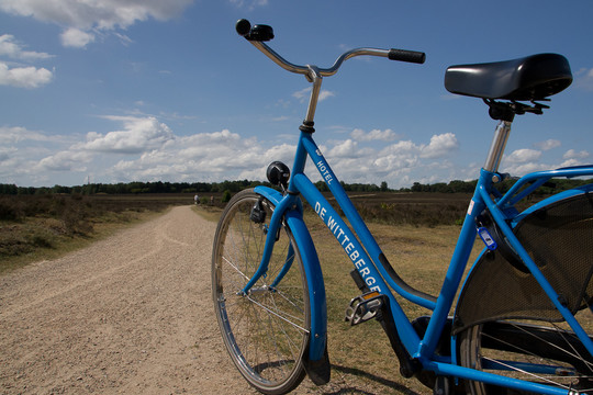 Bicycle rental Hotel Hilversum De Witte Bergen