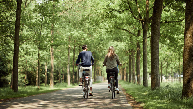 Fietsarrangement Hotel Hilversum - de Witte Bergen