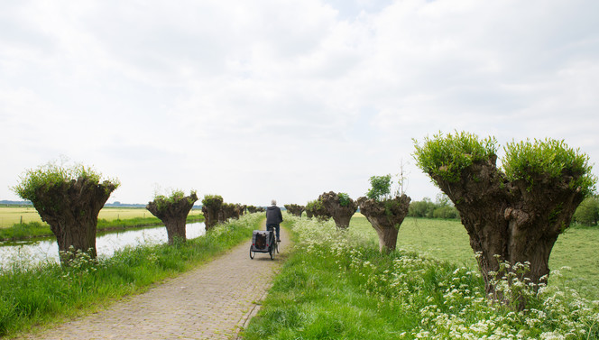Omgeving ’t Gooi Hotel Hilversum De Witte Bergen