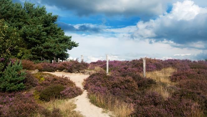 Surroundings’ t Gooi Hotel Hilversum De Witte Bergen