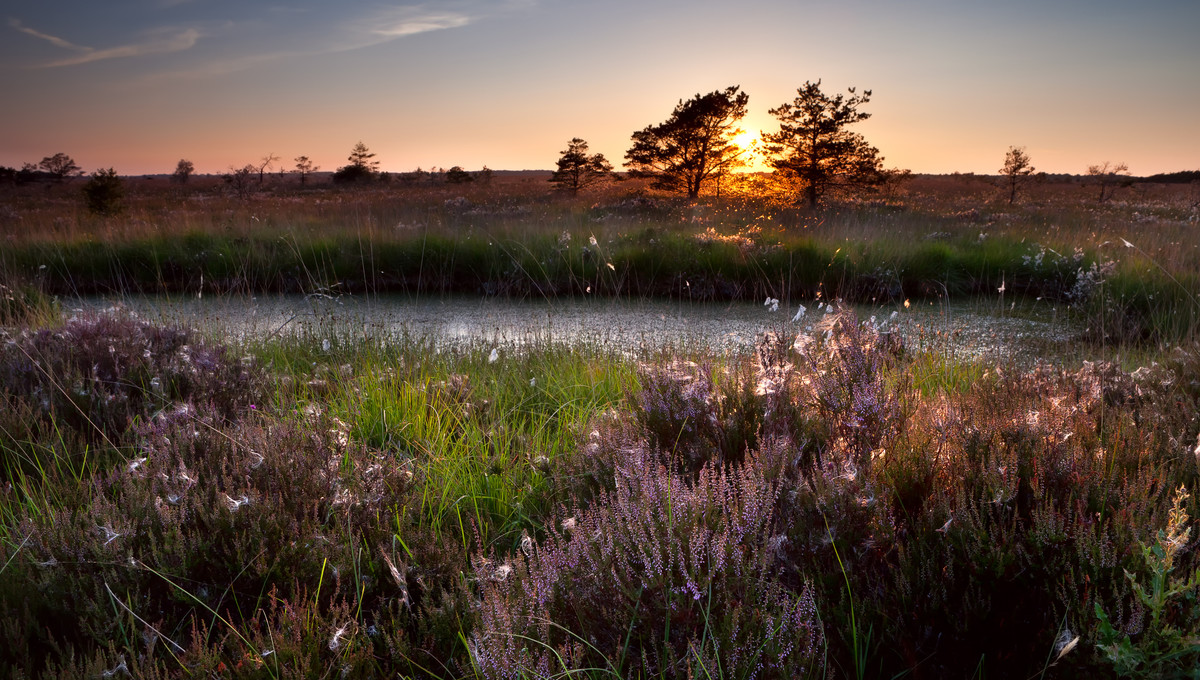 Spring package Hotel Hilversum De Witte Bergen