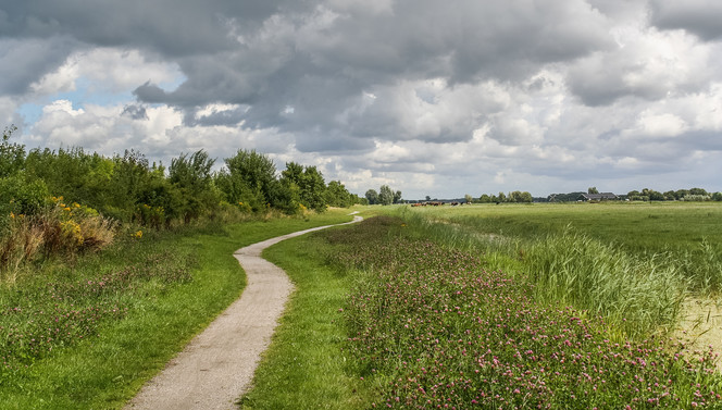 wandel