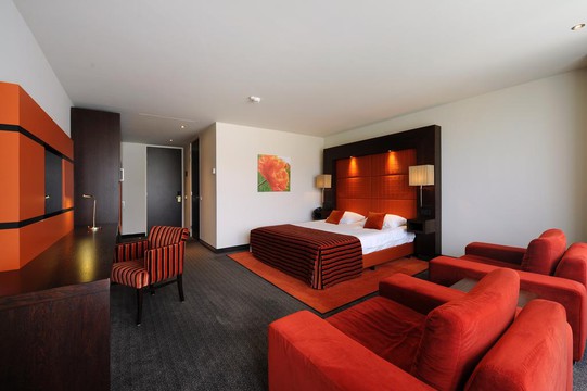 Suite met bubbelbad Hotel Hilversum - De Witte Bergen 