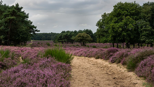 Ontdek 't Gooi Hilversum